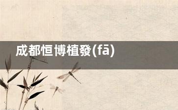 成都恒博植發(fā)怎么樣？25年老牌植發(fā)機(jī)構(gòu)|金牛區(qū)營(yíng)門口路54號(hào)|技術(shù)穩(wěn)口碑佳